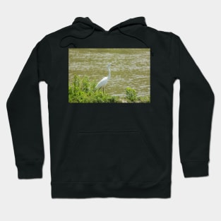 Great White's Promenade Hoodie